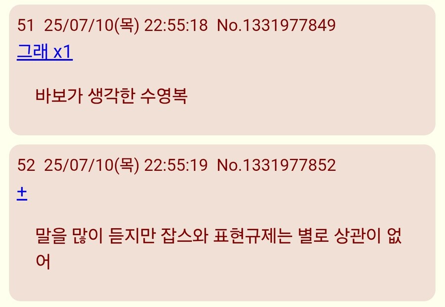 니케)일레그 수영복의 미스테리_6.jpg