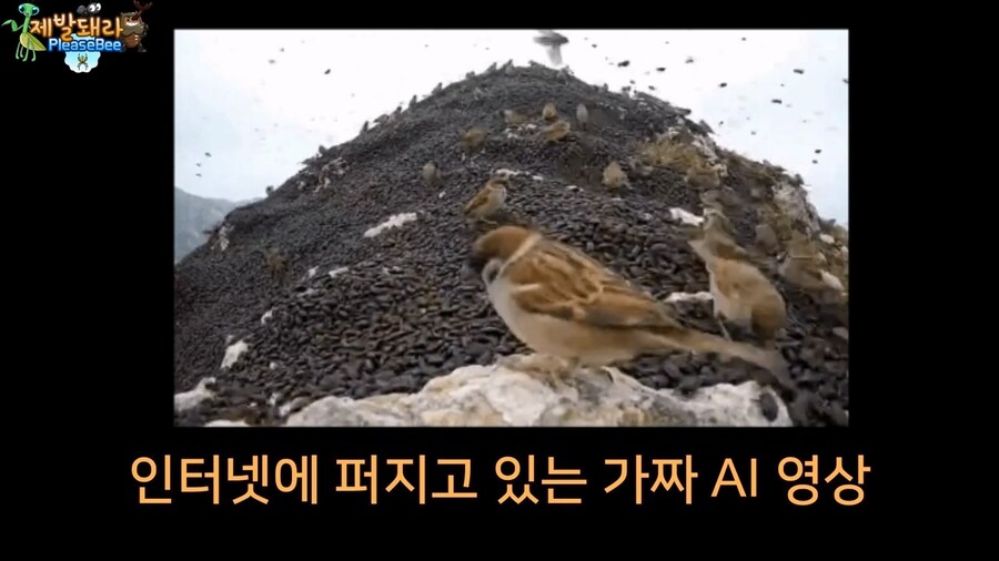 참새가 러브버그 먹는지 직접 확인해본 유튜버