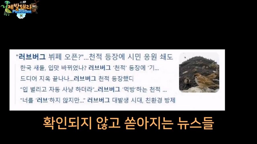 참새가 러브버그 먹는지 직접 확인해본 유튜버_2.jpg
