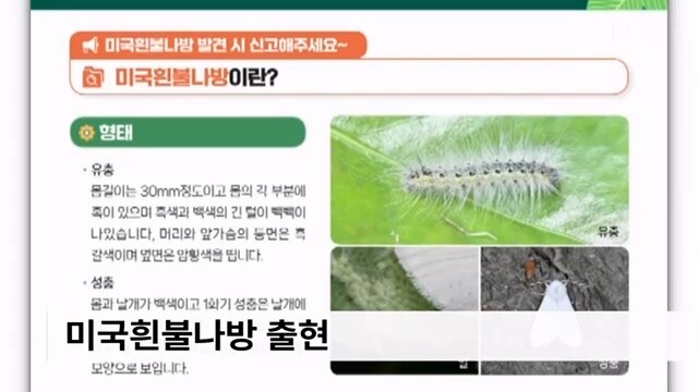러브버그가 가고 '이게' 온다_1.jpg