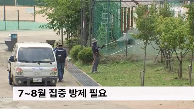 러브버그가 가고 '이게' 온다_5.jpg