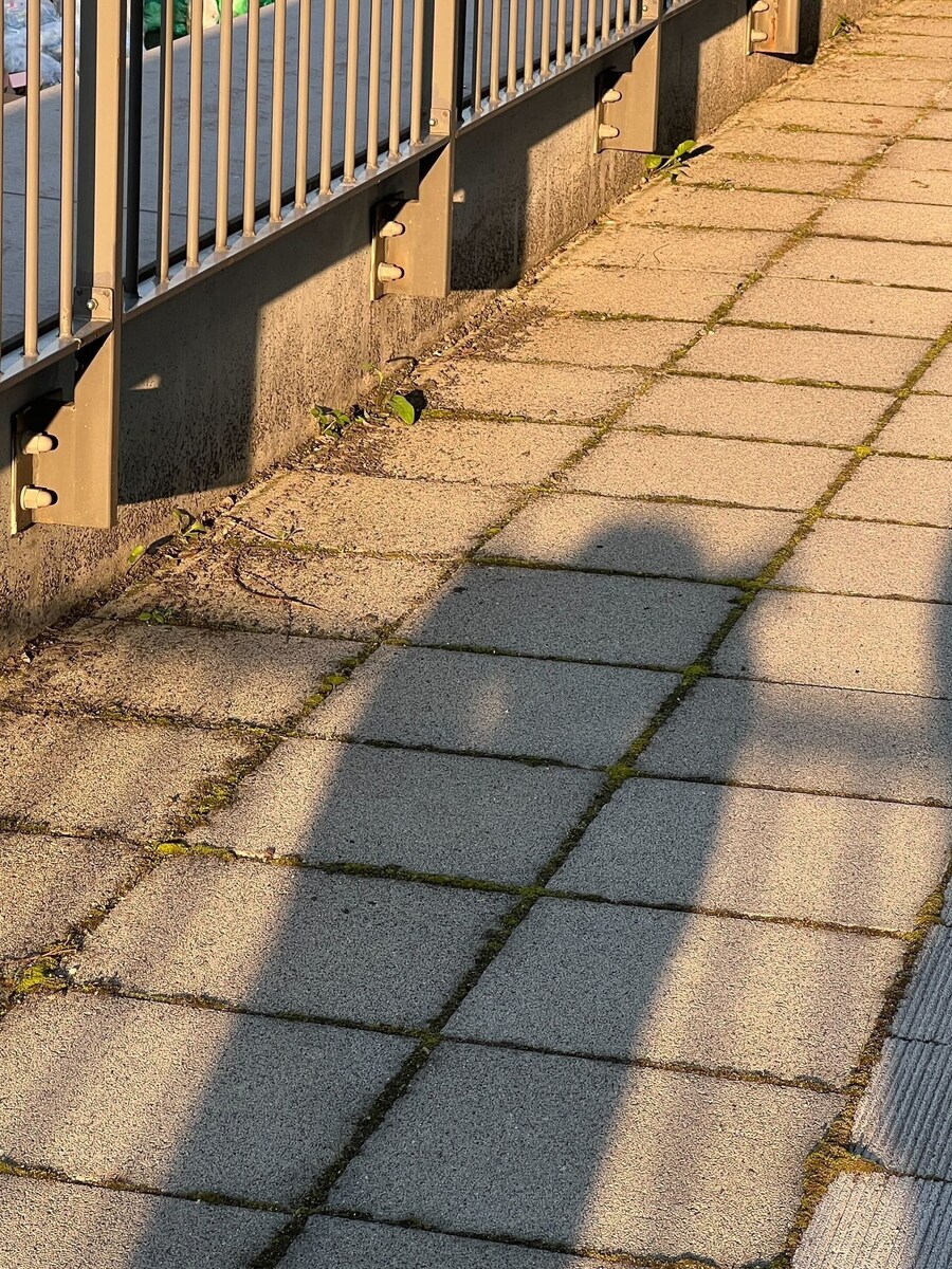 헬로키티 그림자 따라했지만 콩이 되어버린 연예인 .jpg_2.jpg
