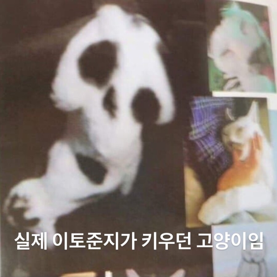 호러만화가가 키우던 고양이.manwha_4.jpg