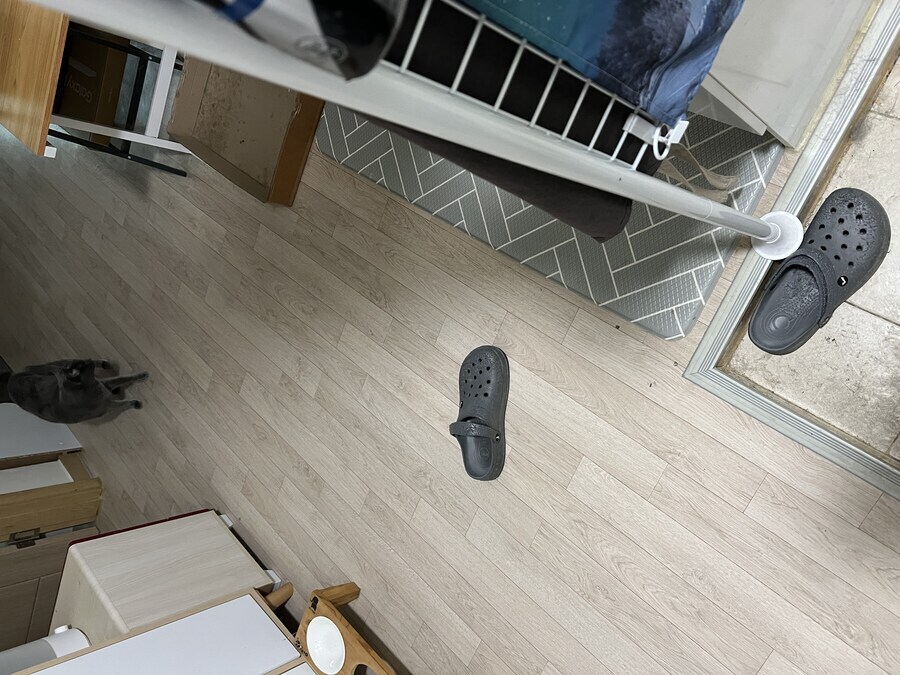 뭐지이거 개껌인가_2.jpg