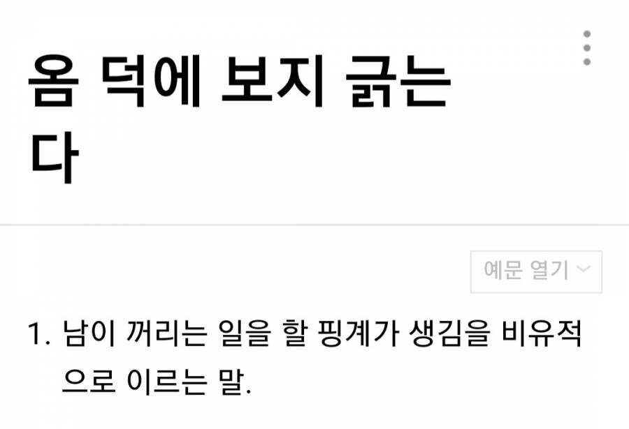 우리 조상님들의 ㅈ토피아식 속담 만들기.hwp_3.jpg
