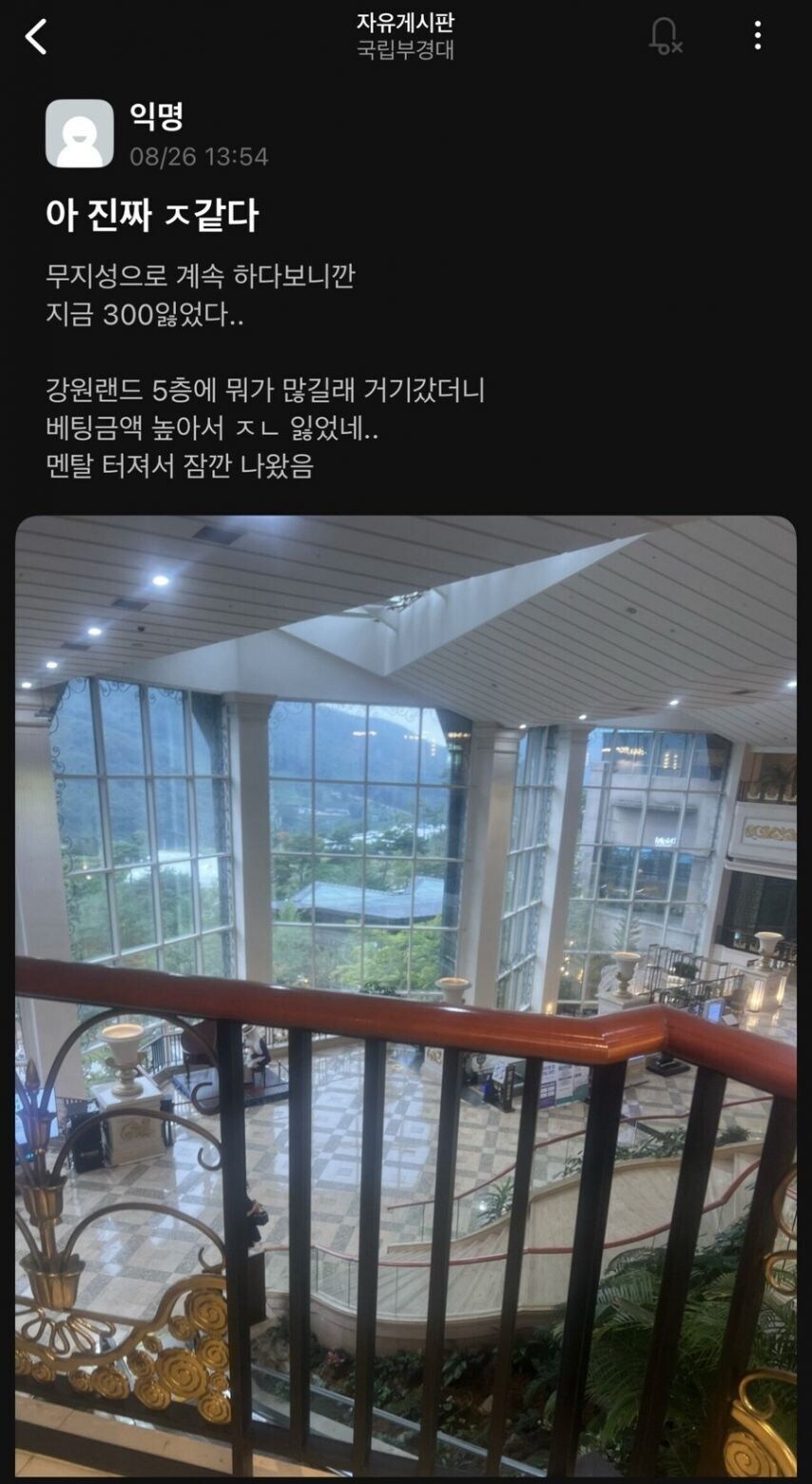 도박으로 100만원 딴 대학생의 최후.jpg_3.png