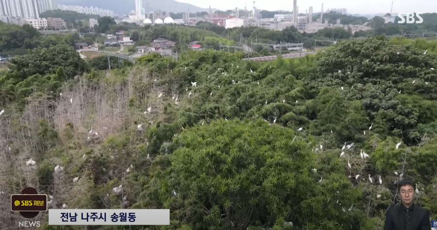 굴러온돌이 박힌 돌을 빼려는 상황_1.png