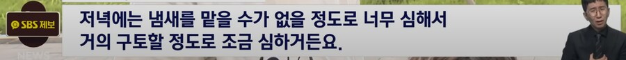 굴러온돌이 박힌 돌을 빼려는 상황_4.png