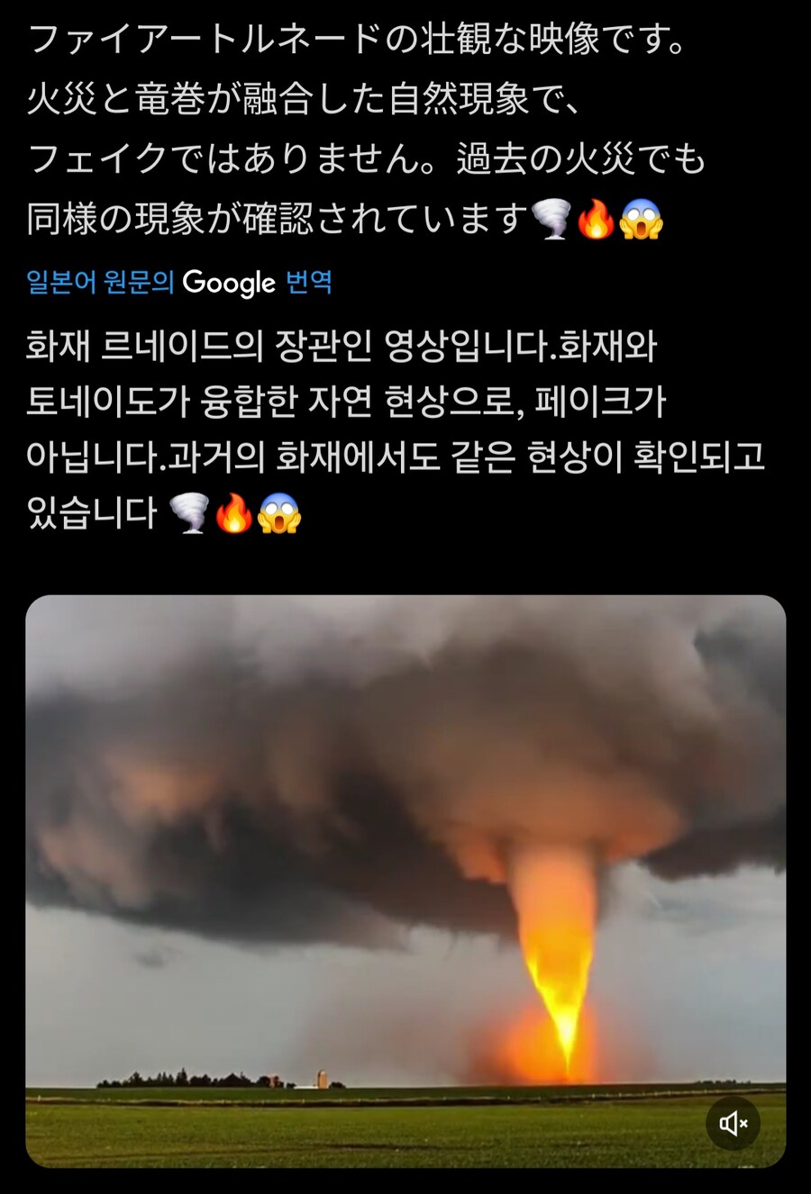 마법사들 2차대전때 다 죽은거 아니었냐?_2.jpg