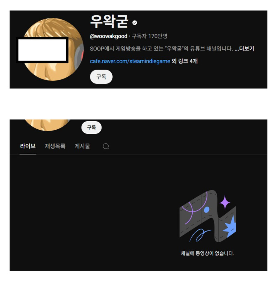 ㅇㅇㄱ) 뭐 본채널영상 다 내렸다고?_1.jpg