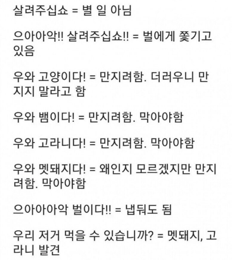숲속에서 들을 수 있는 군대 언어의 해석_1.jpg