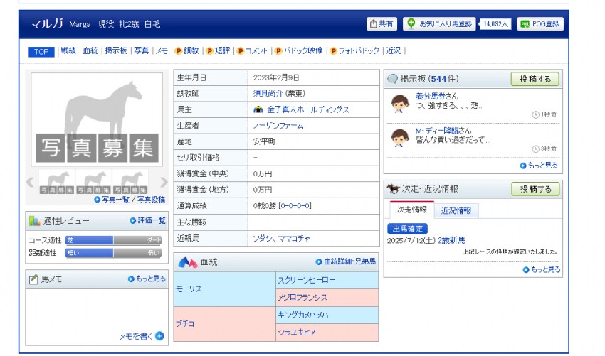 경마) 소다시 동생 마루가 신마전 승리!_1.png