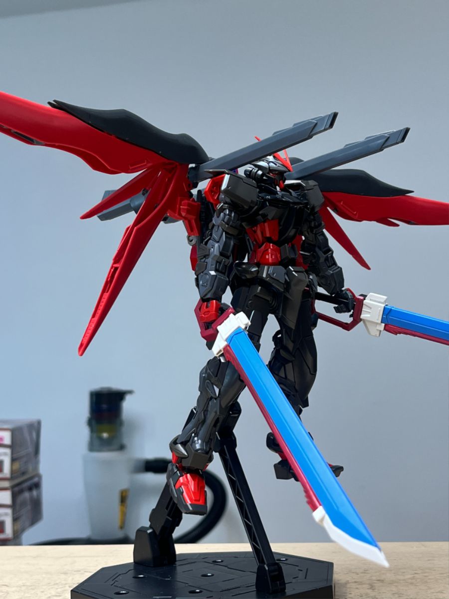 [MG] MBF-POX Gundam Astray Noir_7.jpg