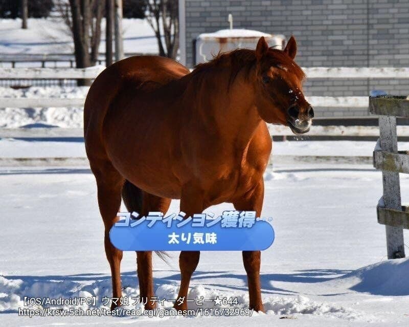 말딸) 생목초 관련 정보 찾아보니까, 가장 많이 받은 말딸이_1.jpg