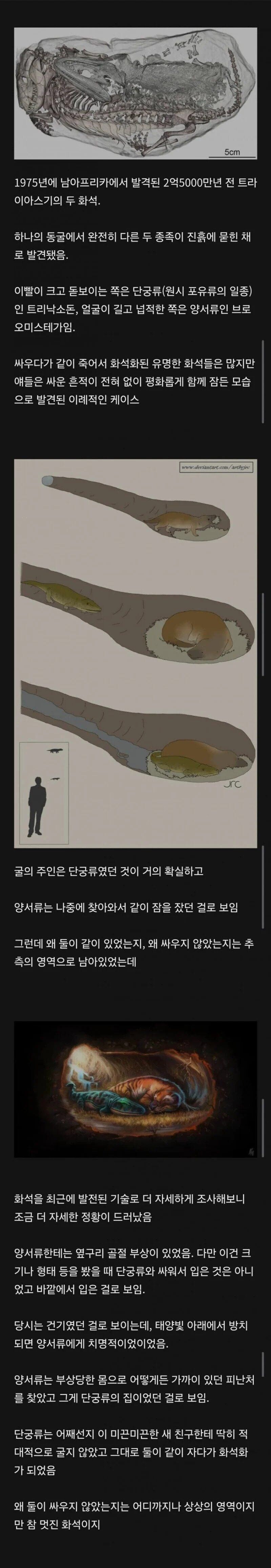 "제가 다쳐서 그런데 하루만 쉬었다 가도 되나요?"_1.jpg