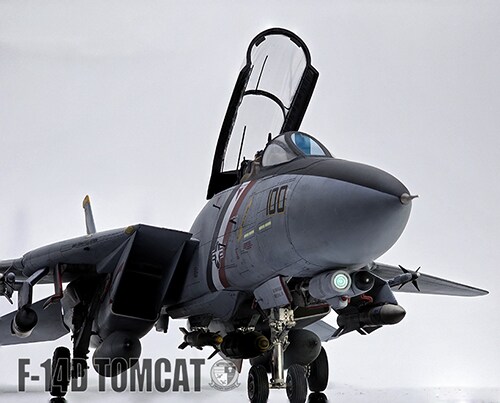 F-14D 톰캣_1.png