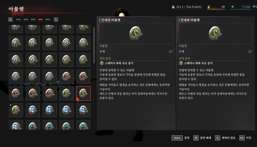 인내의 아뮬렛+1 먹었는데 장비창에 없네요???_1.png