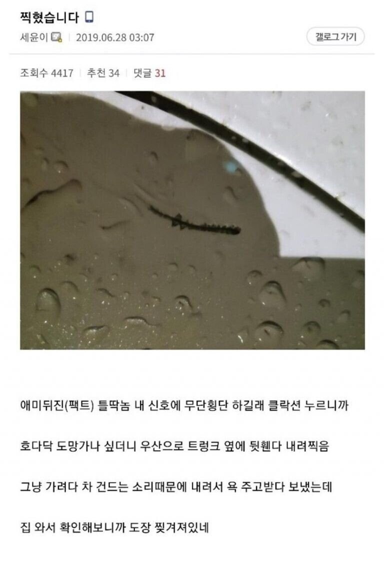 자동차 갤러리 레전드 빌런 "세윤좌".jpg_10.jpg