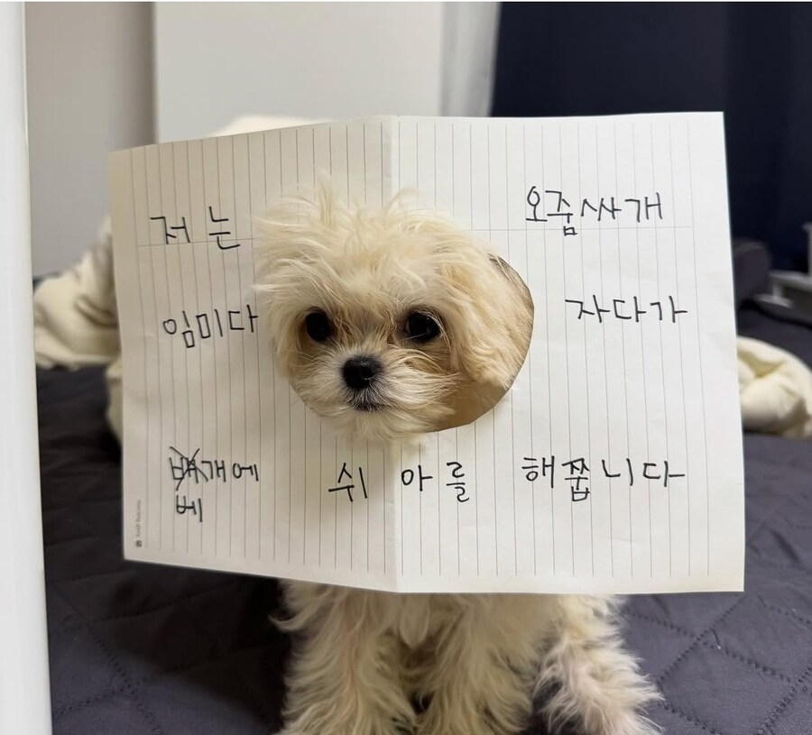 ??? : 나는 깡패입니다_1.jpg