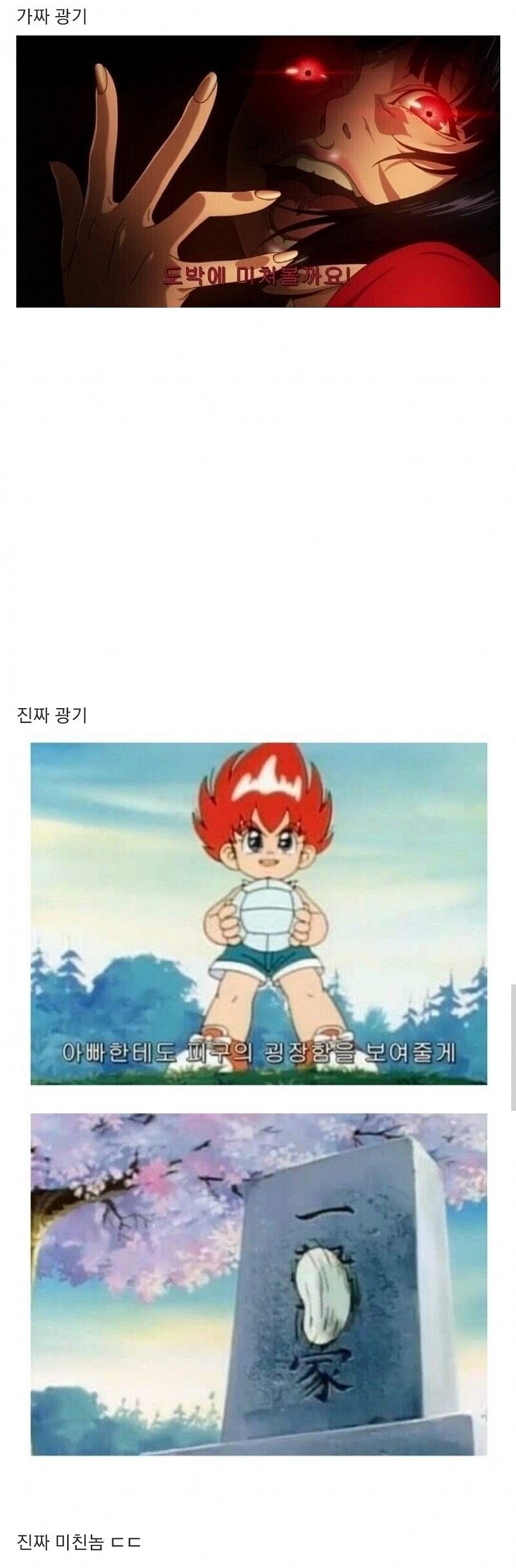 가짜광기 vs 진짜광기_1.png
