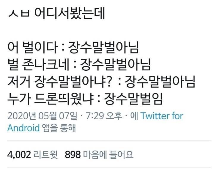 장수말벌 소리 너무 오바 하지마_1.jpg
