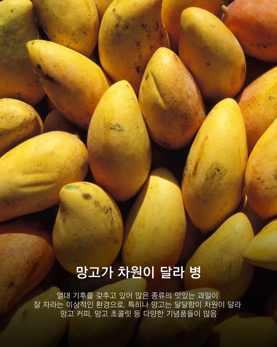 베트남 다녀오면 걸리는 '차원이 달라' 병_5.jpg