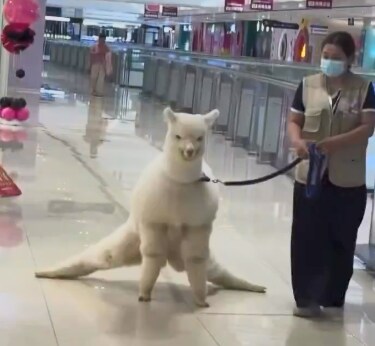 남들 앞에서 다리를 활짝_1.png