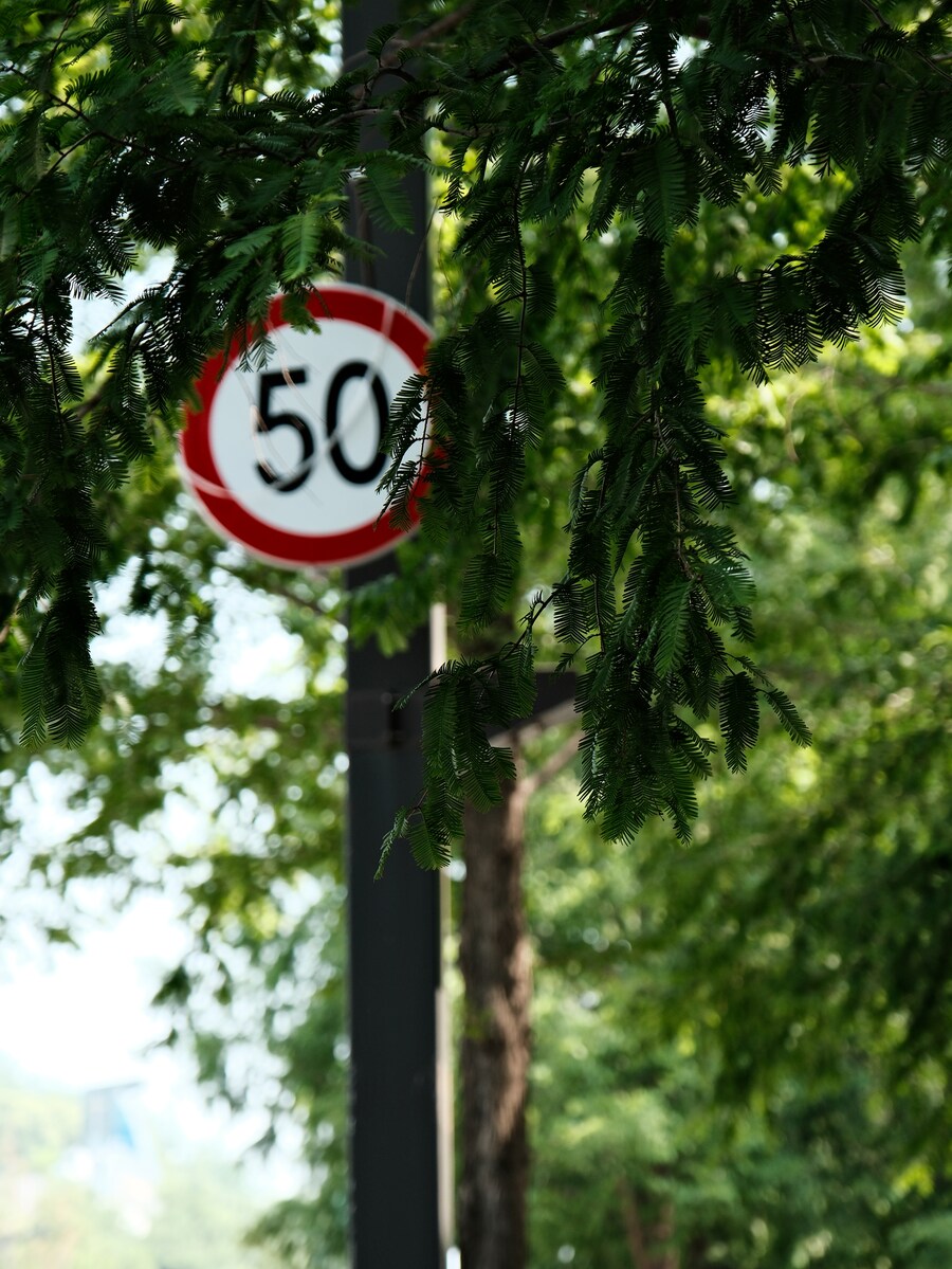 가라아게 & 나폴리탄_4.jpg