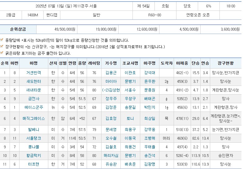 경마) 오늘부로 사실상 은퇴가 결정난 한국의 최고령마_2.png