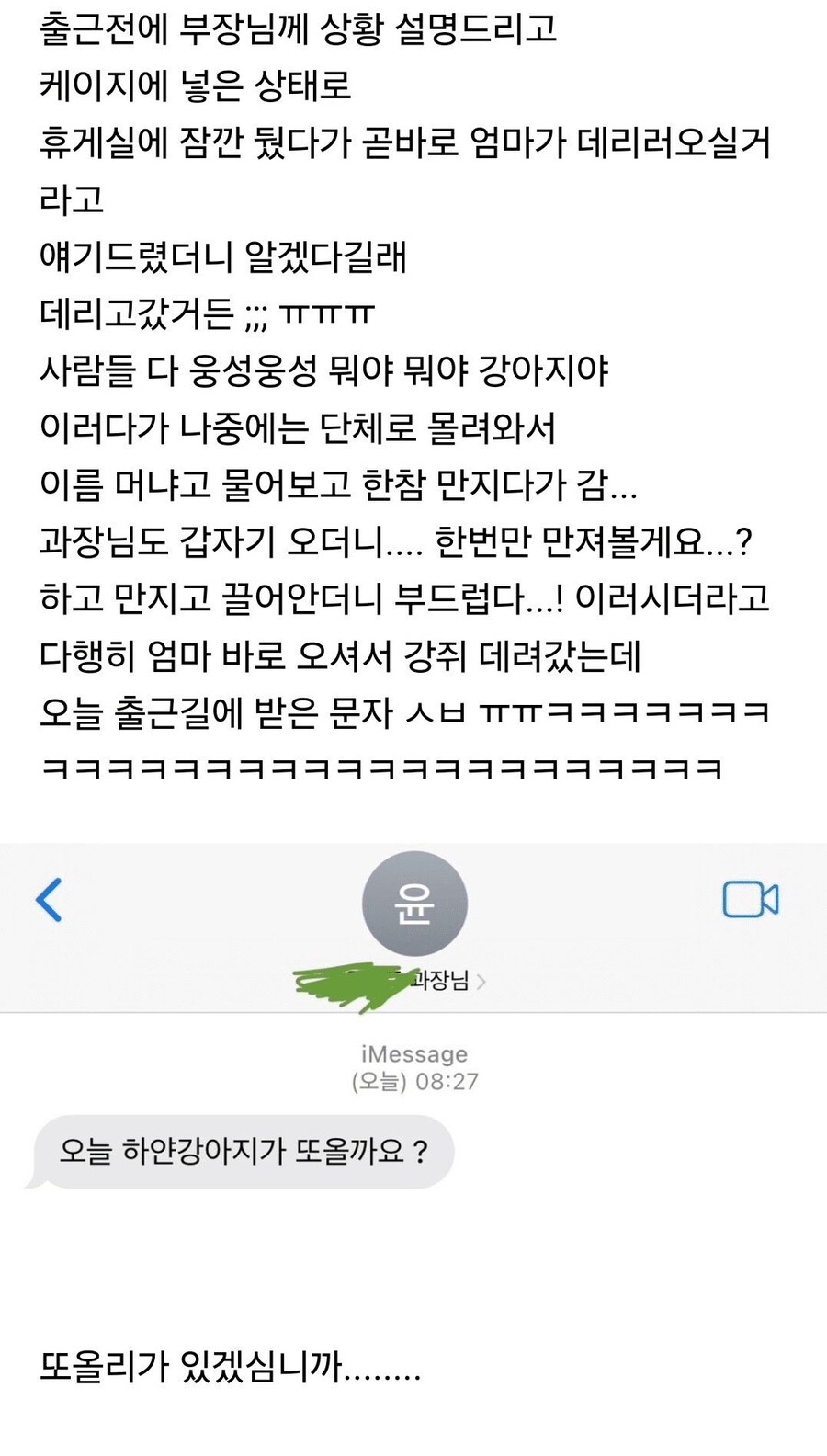 직장에 강아지 잠깐 데려가게 되었던 결과.jpg_1.jpg