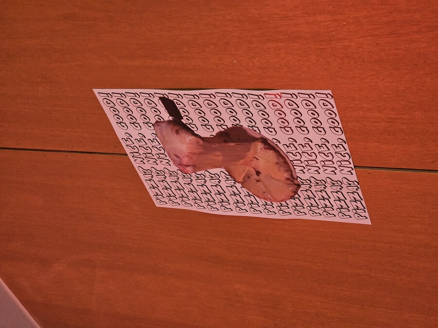 [청주] 피자 나이스 굿_9.jpg