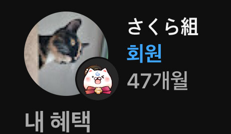 버튜버) 생각보다 오래되긴했다_1.jpg