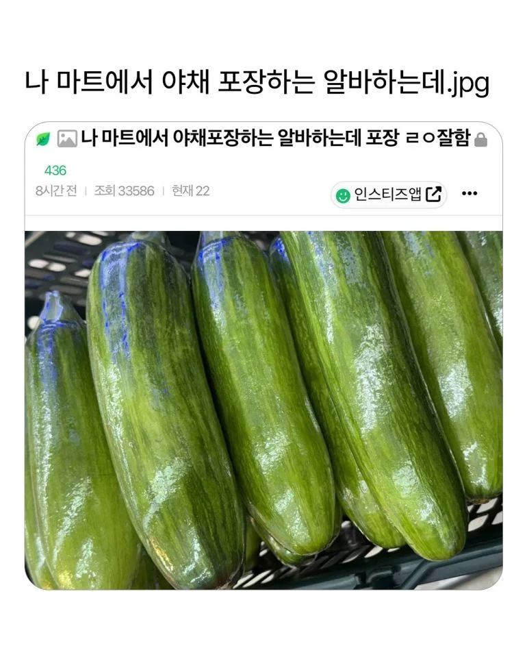 개쩌는 마트 야채 포장 알바.jpg_1.webp