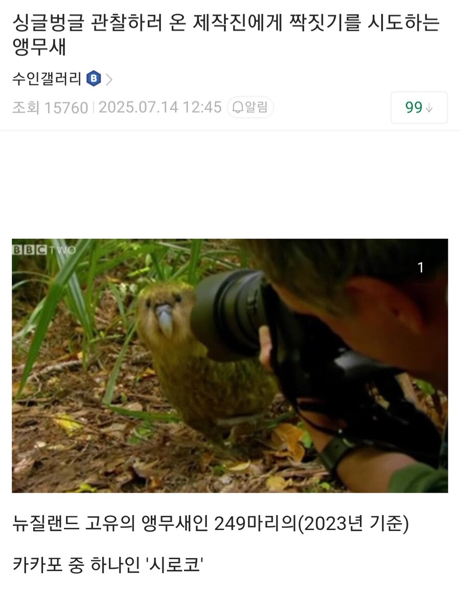 사진 찍는 사람을 겁탈하려고 다가오는 시로코.jpg_1.jpg