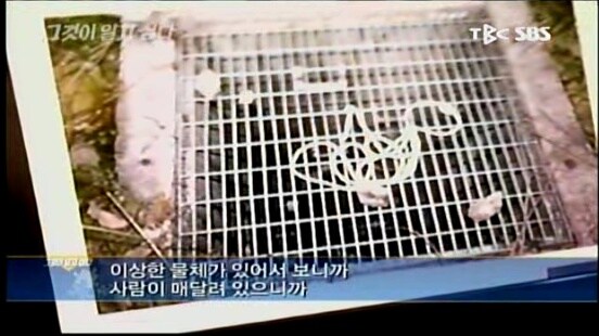 그알에 나오는건 기괴한 사건들이 좀 있는데_1.jpg