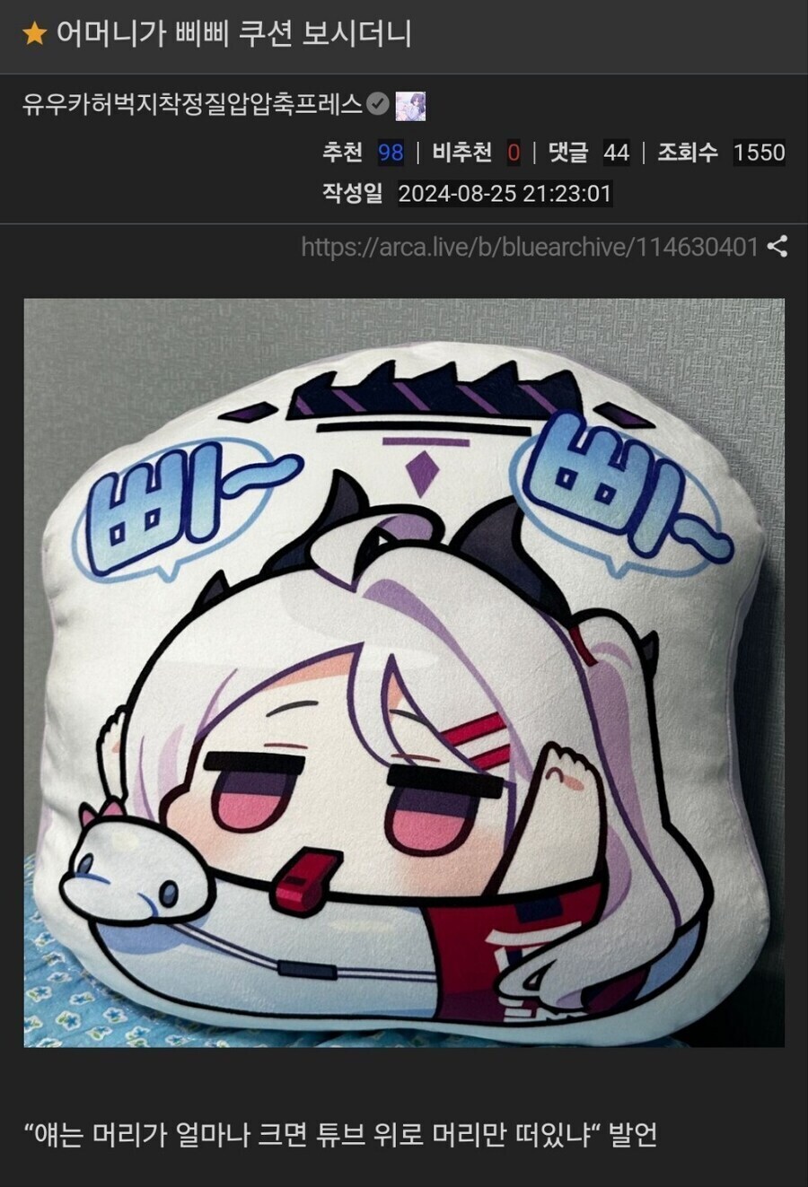 블루아카) 삐삐 히나 쿠션 보신 어머니_1.jpg