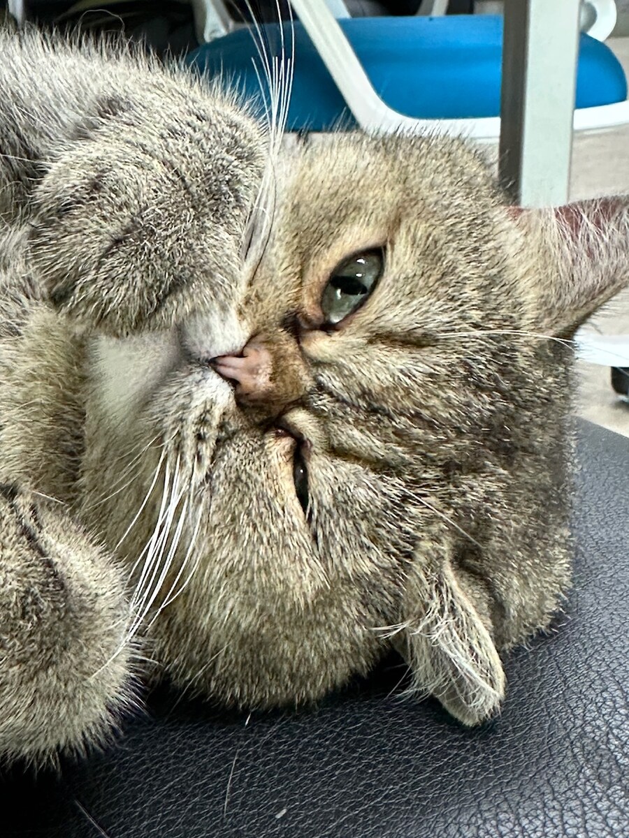 오늘의 중지짤.jpg_5.jpg