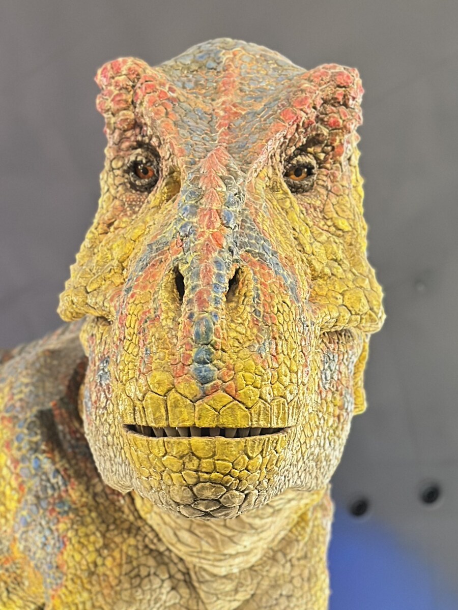 의외로 멍청해보이는 것_1.jpg