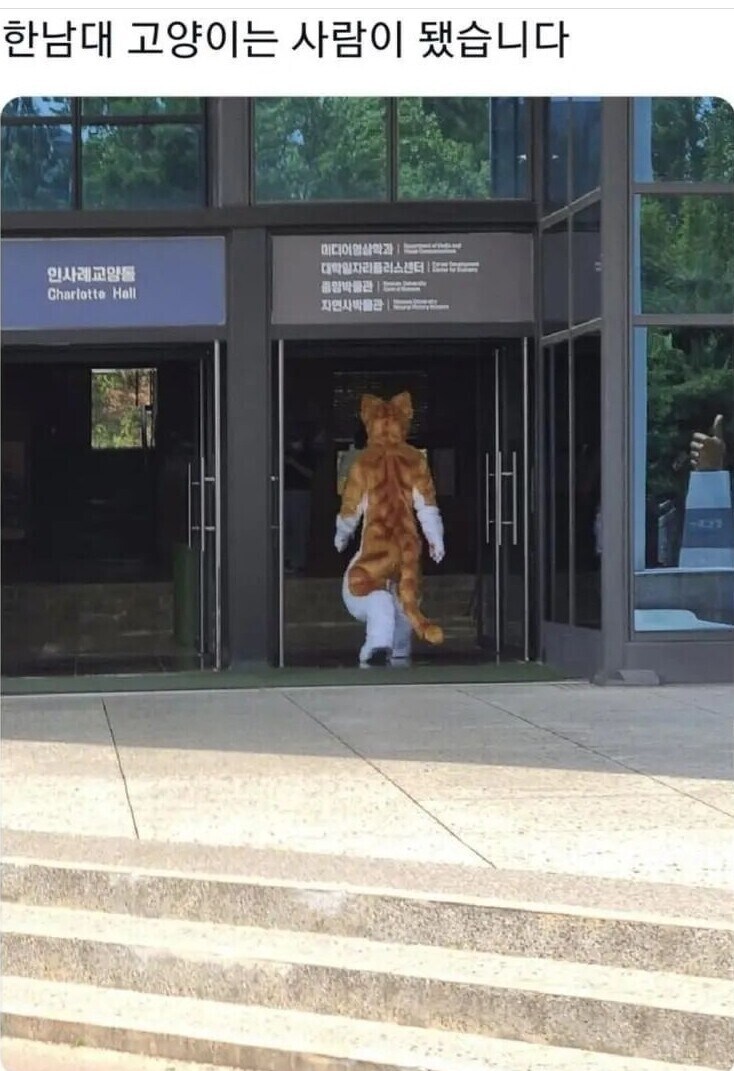 대학별 고양이.jpg_4.jpg