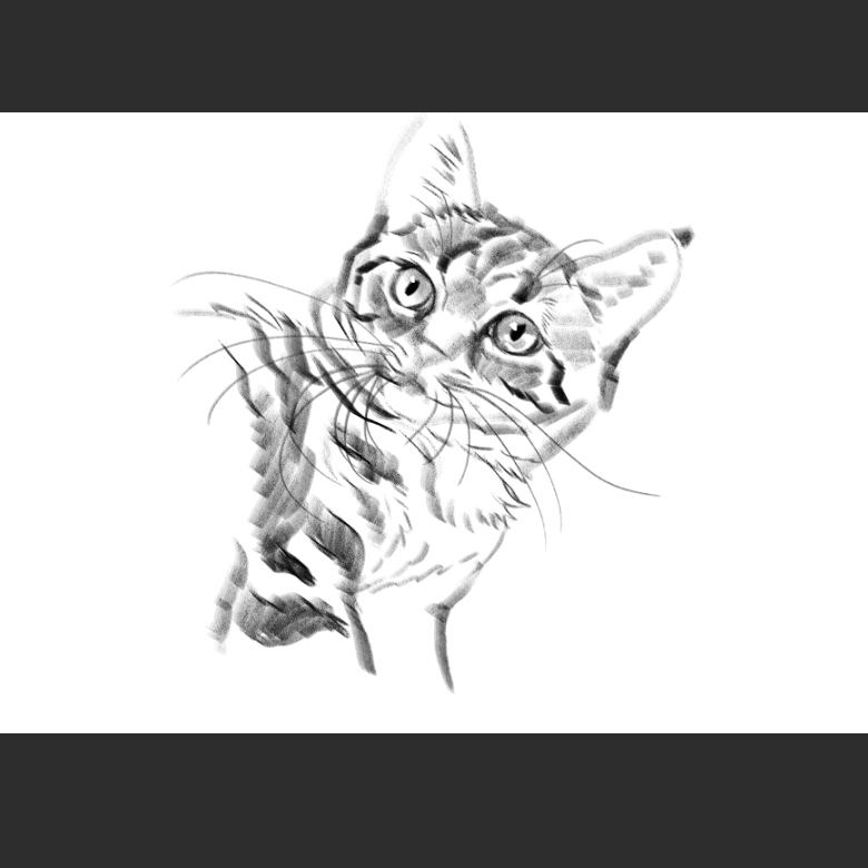 고양이) 우리집 고양이그림 보고가셈_5.png