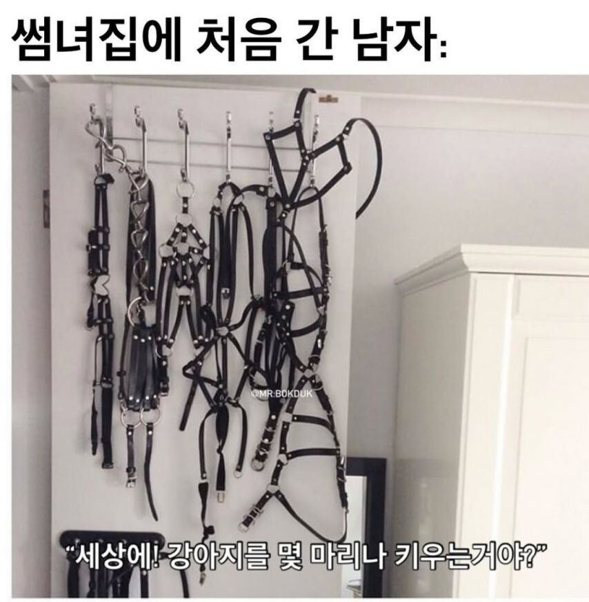 썸녀집에 처음 간 남자.jpg_1.jpg