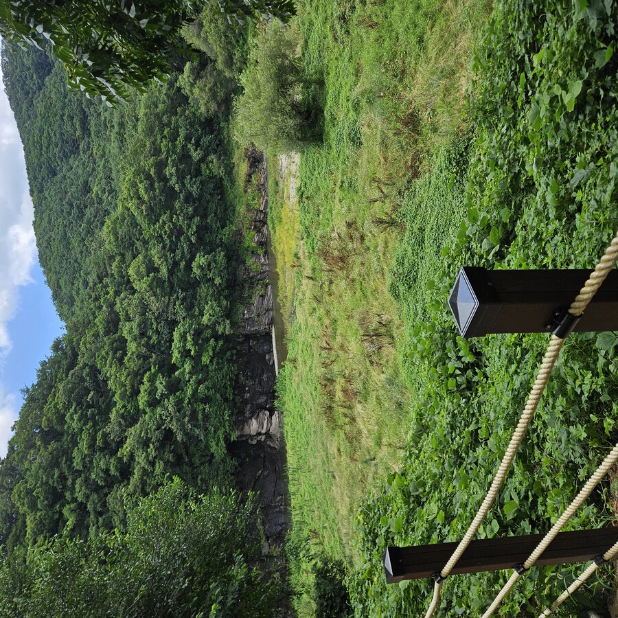 울주군 반구대암각화 다녀옴_4.jpg
