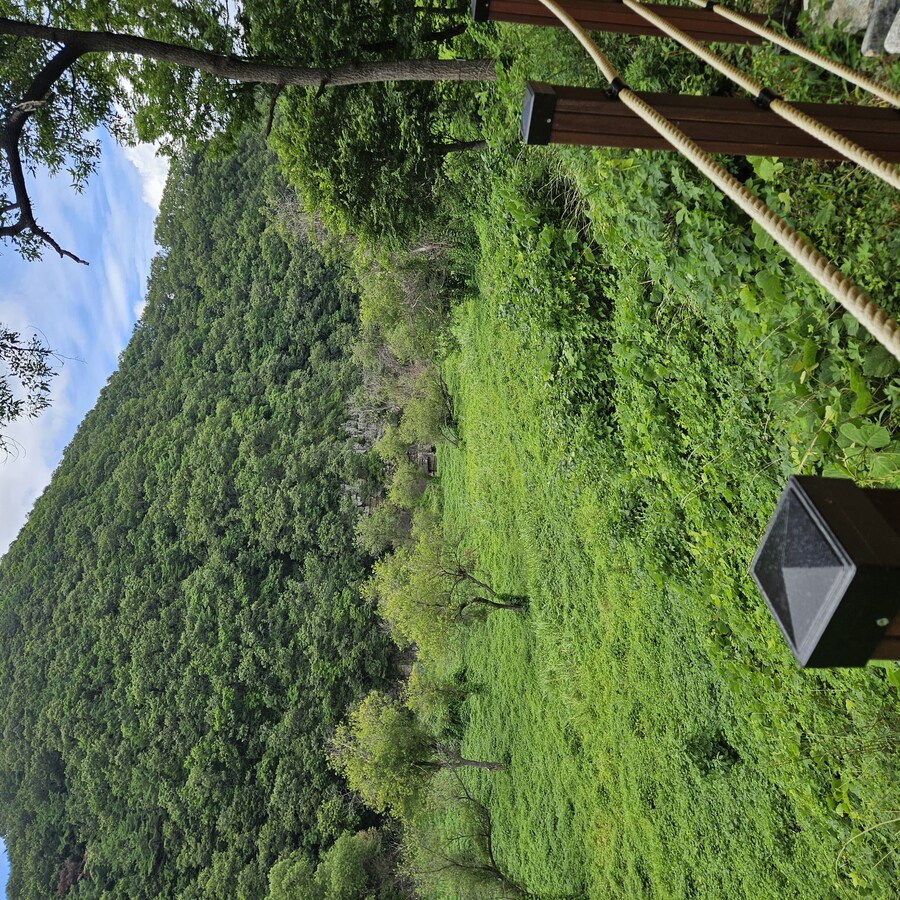 울주군 반구대암각화 다녀옴_5.jpg