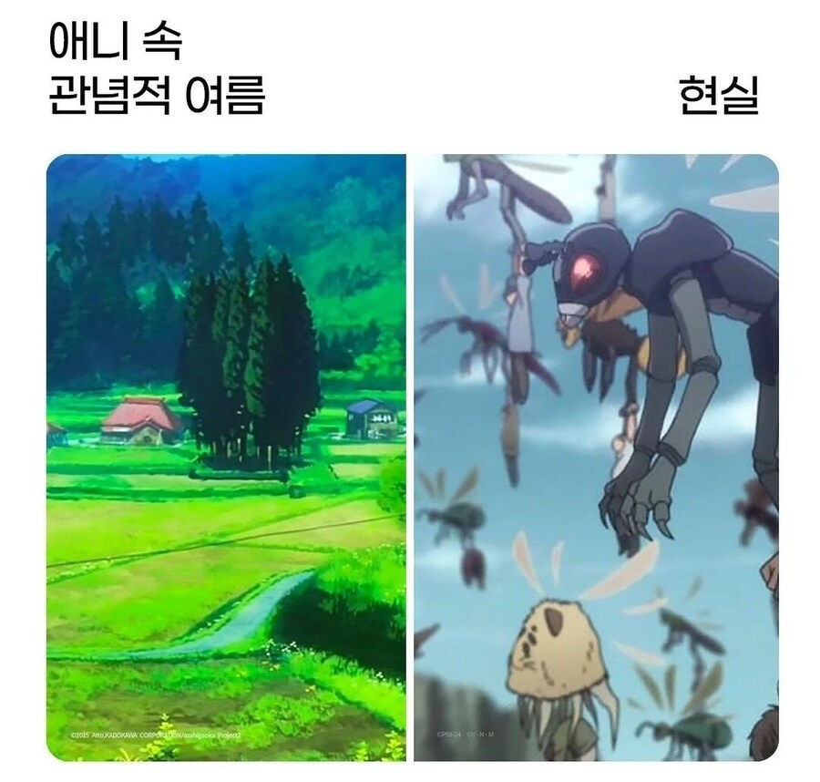 애니속 여름 vs 현실 여름.jpg_2.png