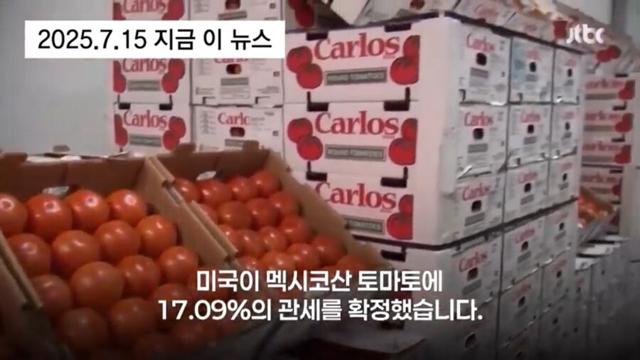 드디어 정상화된 피자를 먹을수 있게된 미국인들 근황_1.jpg
