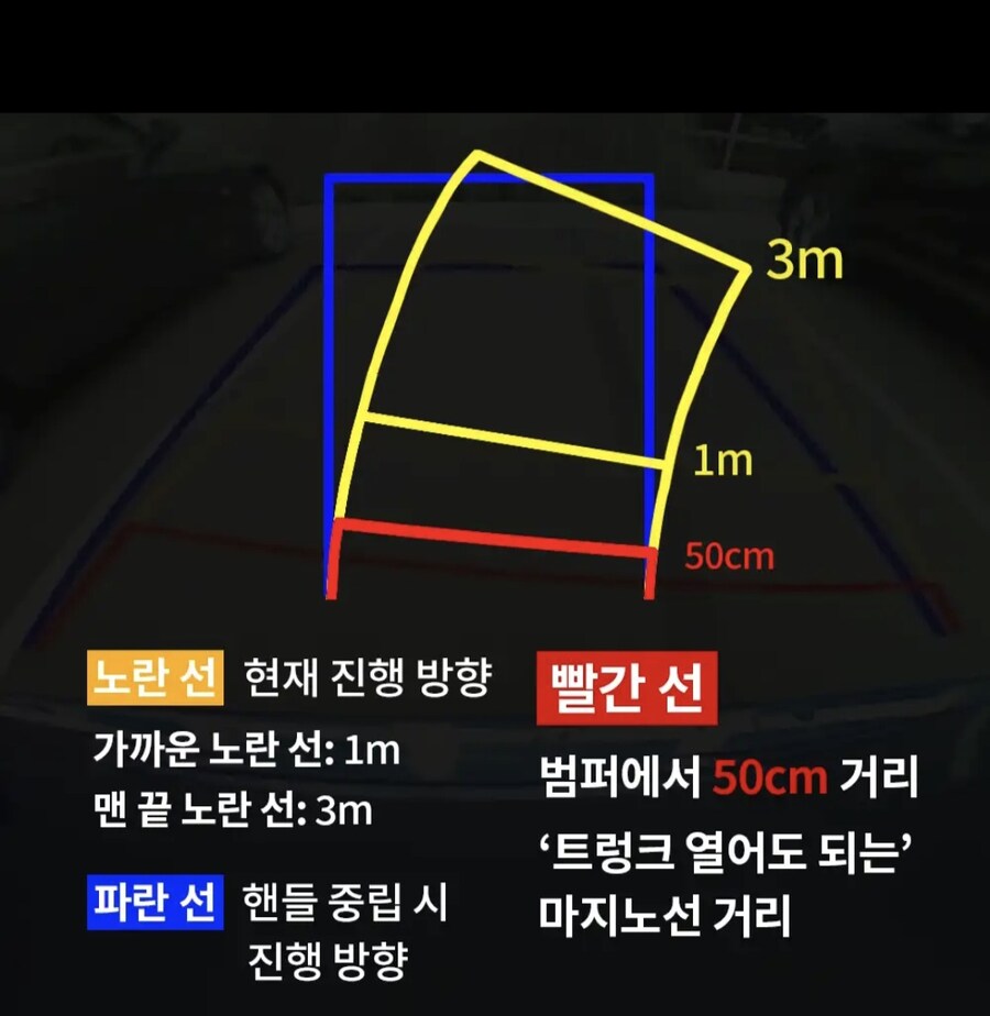 너희 후방주차할때 색깔별 선 의미 알고있음?_1.jpg