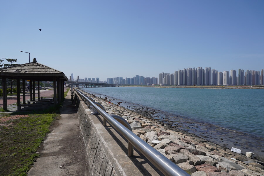 5월, 인천 해안 갯벌 탐조_15.jpg