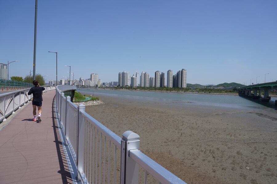 5월, 인천 해안 갯벌 탐조_66.jpg