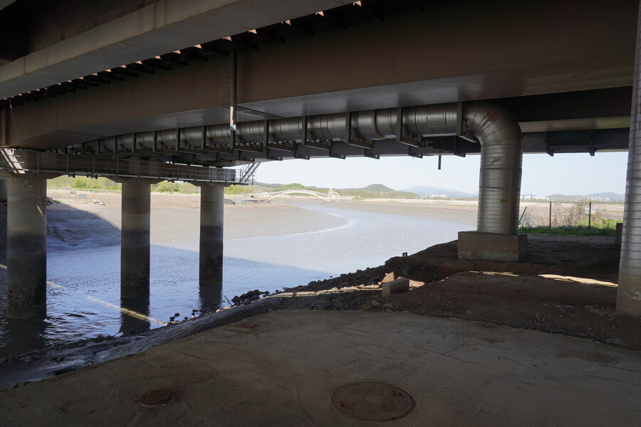 5월, 인천 해안 갯벌 탐조_72.jpg