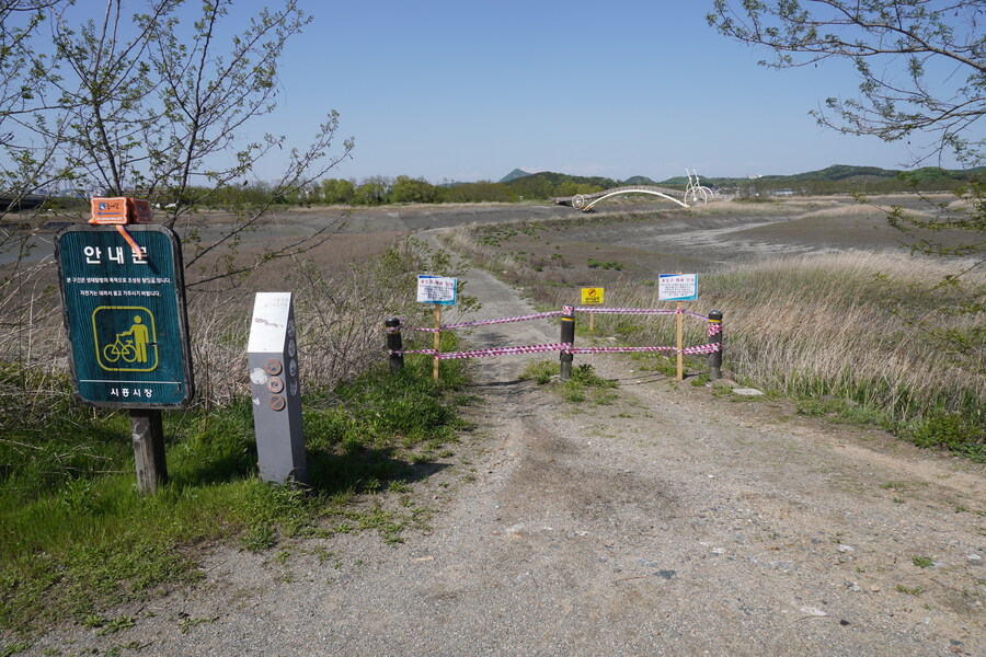 5월, 인천 해안 갯벌 탐조_90.jpg